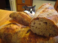 Sourdough batards