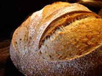 Whole Wheat Sourdough Oat Loaf