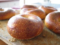 Sourdough Bagels