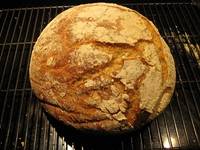 Sourdough Buttery Beer Bread