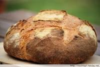 Rustic Bread