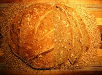 Sprouted Sunny Wheat Bread