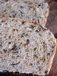 Wild Rice and Carmelized Onion Bread