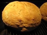 Dan Lepard's Barm Bread