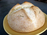 Sourdough Cornmeal Loaf