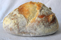 Susan's Ultimate Sourdough