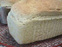 English Muffin Bread