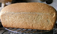 Sourdough Anadama Bread