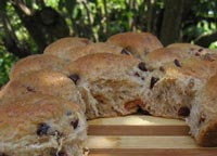 Cranberry-Pecan Pull-Apart Rolls