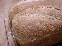 Whole-Wheat Bread with a Multigrain Soaker