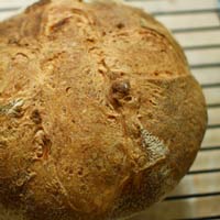 Rustic Country White Bread