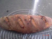 Cranberry Walnut Bread