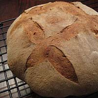 Rosemary olive oil bread