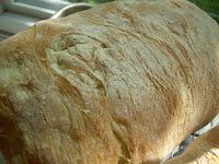 Ciabatta