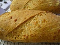 Florentine Pecorino Romano and Rosemary Bread