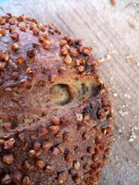 Buckwheat Apple Sourdough