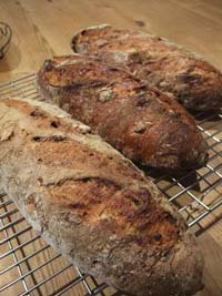 South tyrolean Potato-Nut Bread