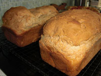 gluten-free, dairy-free and egg-free bread