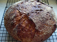 Gluten-free artisan bread