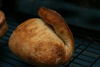 Pain de Campagne