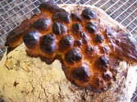 Decorated Wine and Walnut Loaf