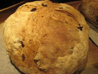 Whole Wheat Sourdough Roasted Mushroom Bread
