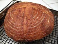 San Francisco Sourdough with some durum flour