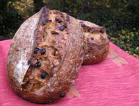 Pain Au Levain Aux Et Raisin