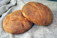 Potato Rosemary boules